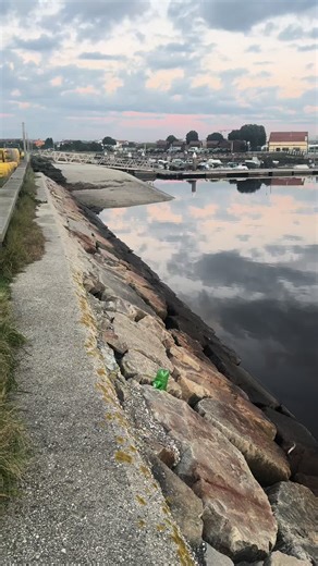 #entrepreneur #viral #bmwlife #new #familyfun