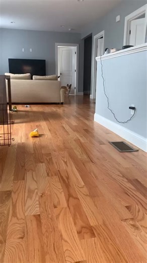 Prathyusha_fitRX (@prathyusha_fitrx)’s videos with Indiana Jones Theme - 90s Dance Music