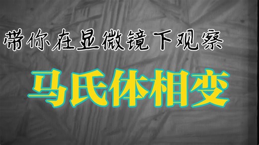 带你在显微镜下认识马氏体相变