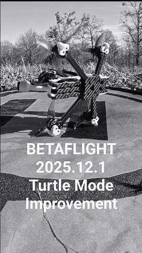 Betaflight 2025.12.1 Advanced Turtle Mode Flip Over after Crash