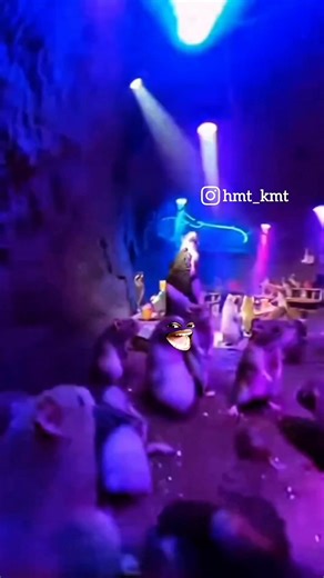 चूहेश भाई को आंटी का डर नहीं ! @hmt_kmt #funny #comedy #vlogger #shorts #memes #trending #party