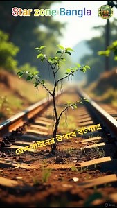 #বাংলাগল্প #কার্টুনগল্প #বাংলাশর্টস #banglakidsstory #viralshorts #naturestory #shortstory #