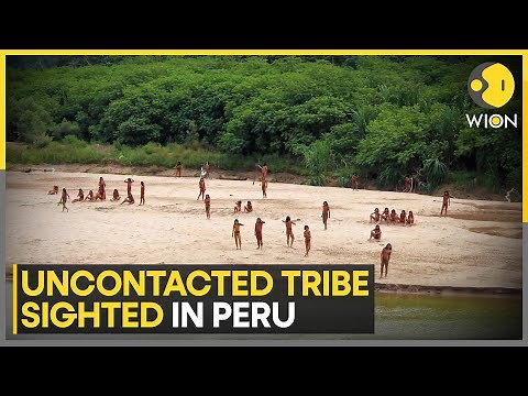 Peru: Uncontacted tribe Mashco Piro seen in Peruvian Amazon where loggers are active | WION