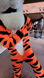 A Tigger Hug is always the right size 😍 | Disney Addicts