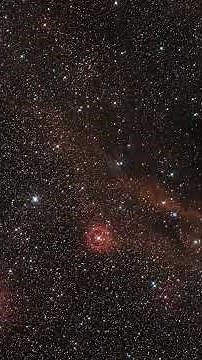 Zooming in on VY Canis Majoris (The Red Hypergiant Star) #Shorts