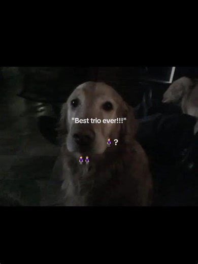 how I hate seeing people getting left out in there trio..