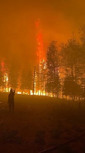 Le Manitoba et la Saskatchewan ont tous deux déclaré l’état d’urgence en raison des incendies qui font rage dans le nord de ces provinces. Au total, plus de 20 000 personnes ont été forcées de quitter leur résidence jusqu’à maintenant. #foret #evacuation #manitoba #saskatchewan #environnement | Radio-Canada Environnement