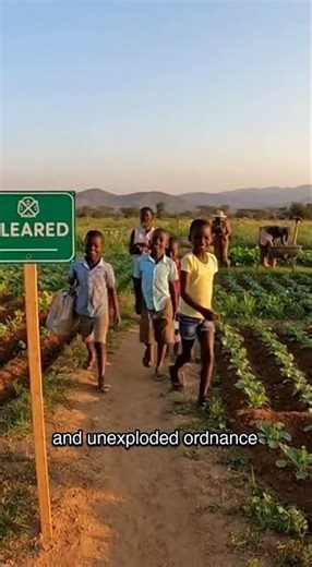 The rat that clears minefields for peanuts