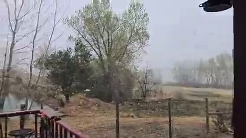 The official motto of spring in Colorado: "sure, why the hell not."