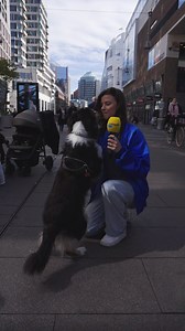 531 reactions · 11 comments | Al die vragen over energie... Je wilt...