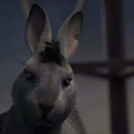 Bigwig/Thlayli's Complex Character in Watership Down