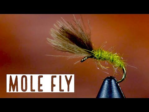 Tie the Perfect Mole Fly Pattern (Step By Step Tutorial)