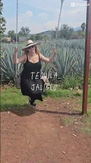 Tequila, Jalisco 🌵🇲🇽