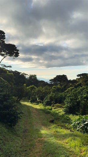 Kim Stanley on Reels