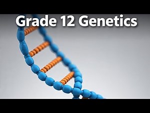 GRADE 12 LIFE SCIENCES: GENETICS & INHERITANCE