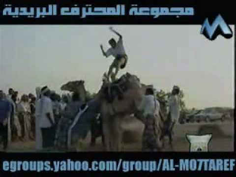 Camel Jumping