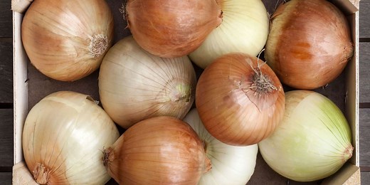 8 Best Onion Substitutes for Every Occasion
