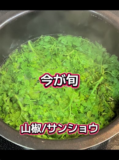 山椒の新芽で佃煮作り