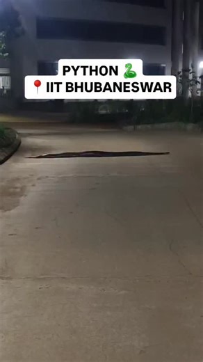 IIT NIT IIIT on Instagram: "JEE ADVANCE QUALIFIED 🐍.. #iit #iits #python #zoo #jee #viral #reel #iitian #campus #college"