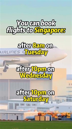 Here’s how to buy Singapore flights ✈️🤩#singapore #cheaptravel #singaporetravel ￼