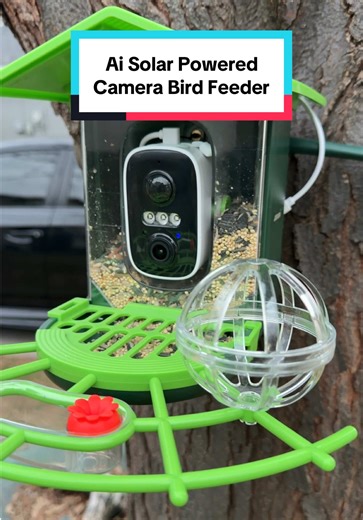 AI Solar Powered Camera Bird Feeder - Spring Sale!