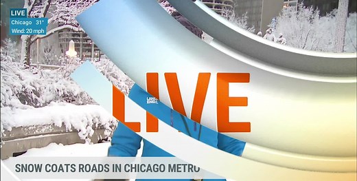 We could all learn a thing or two from Stephanie Abrams! She's LIVE in Chicago with the latest on Winter Storm #Nathaniel. Elsewhere in the field, we also have Tevin Wooten stationed in Alabama to cover last night's devastating tornado. | The Weather Channel
