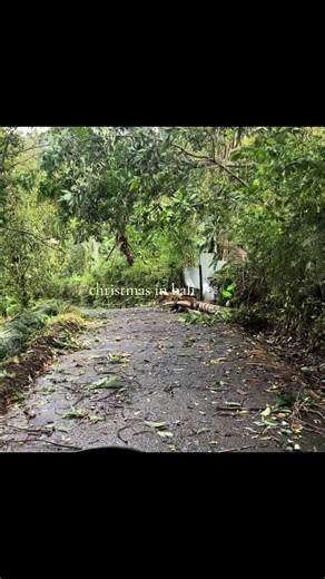 unknown (@talking.angelas)’s videos with Last Christmas (Pudding Mix) - Wham!