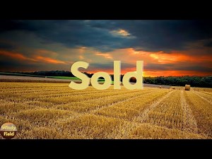 John Michael Montgomery - Sold (The Grundy County Auction Incident) (Lyrics)