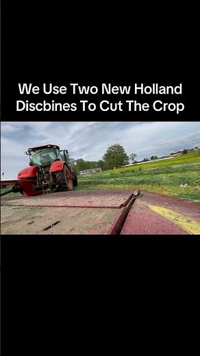 The Complete Process Of Triticale Harvest Part 1 #dairyfarming #familyfarm #farm