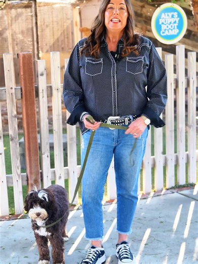 Empowering Your Dog Through Fear: Name & Explain Technique