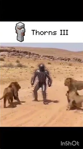 thorns III #minecraftMinecraft enchatments in real life. ⛏️⚔️ #minecraft #minecraftshorts