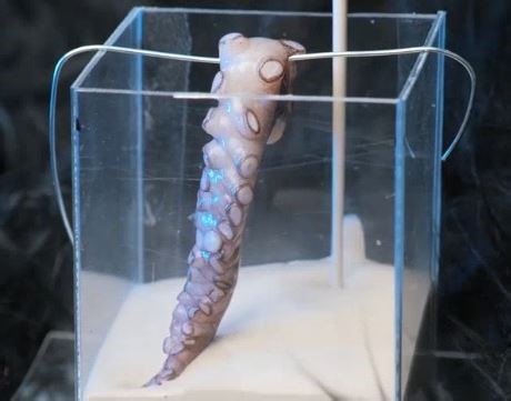 3.9M views · 10K reactions | Ocean chic jewelry to make you feel like a mermaid! | 5-Minute Crafts | Facebook