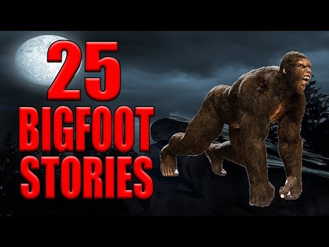 25 Bigfoot and Cryptid Stories_Best of Dixie Cryptid Vol 7