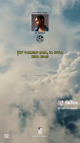 DI_CHELE: A Collaboration from Cheez Beezy and Lizwi