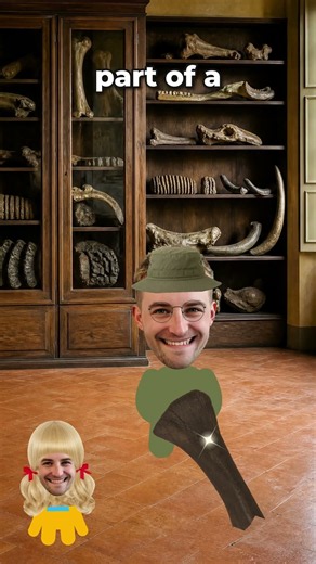Her paleontologist dad walked right past it 😨