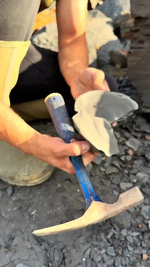 Digging a Fossil Rock from Shale! | Find Fossils | Facebook