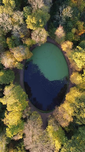 Autumn at Antrim Castle Grounds #northernireland #trees #antrim | Luke Davis Photography