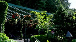 The famous gardens of Butchert on Victoria Island. Canada. The Butchart Gardens