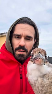 Prova il nostro IA agent al 393928534531 watsapp! www.innovativetechnologysrl.it www.protodynamics.it Innovative technology - Unit.Link Per preventivi e risposte veloci scrivi tramite watapp al 393928534531 #InnovativeTechnology #MOV #SistemaMOV | Falcong