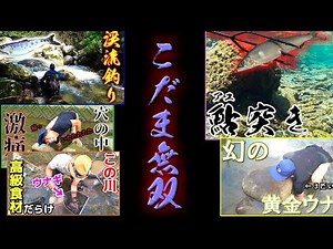 【総集編】こだま無双５選！
