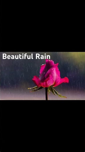 Beautiful Rain for Relaxation