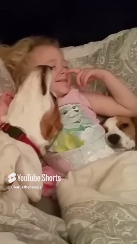 Why Dogs Are So Special: A Heartfelt Appreciation