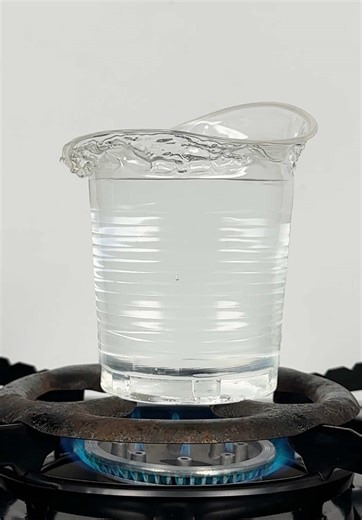 Flame Trick with a Plastic Cup: Fun Cat Hacks