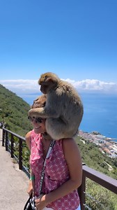 Un día en Gibraltar 🇬🇮❤️ Espectacular ver el estrecho donde se divide el Mar Mediterráneo y el Mar Atlantico 🙋🏼‍♀️ #estrechodegibraltar #macacos #amigos #conociendo #lavidaeshoy #diosesbueno | Patricia Figueroa
