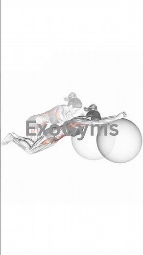 Swiss Ball Rollout ‪@ExoGyms‬