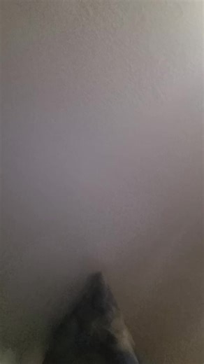 STUMPY🫩 (@chase_plays_tuba)’s videos with original sound - STUMPY🫩