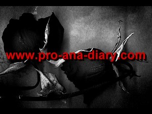 PRO ANA DIARY