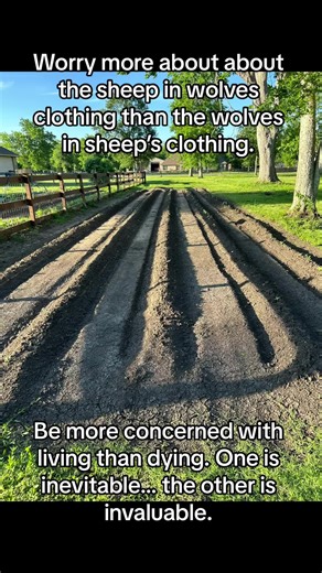 Worry more about the sheep in wolves clothing than you do about the wolves in sheeps clothing