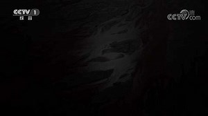 百集文献纪录片《山河岁月》第九集《战斗在罗霄山上》