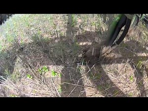 Precision Series - Dutch Openers